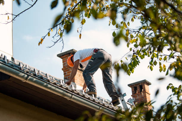 Best Storm Damage Roof Repair  in Patterson, LA