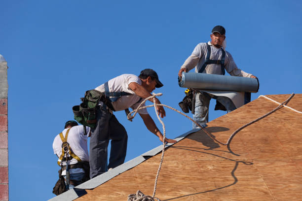 Best Roof Gutter Cleaning  in Patterson, LA