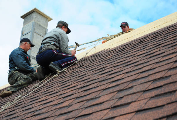 Quick and Trustworthy Emergency Roof Repair Services in Patterson, LA